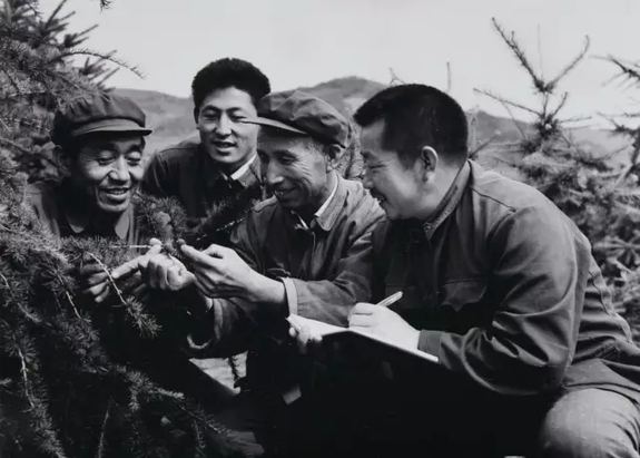 英國小哥到河北塞罕壩避暑，竟意外收獲了一個美麗的故事丨好運中國