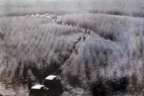 英國小哥到河北塞罕壩避暑，竟意外收獲了一個美麗的故事丨好運中國