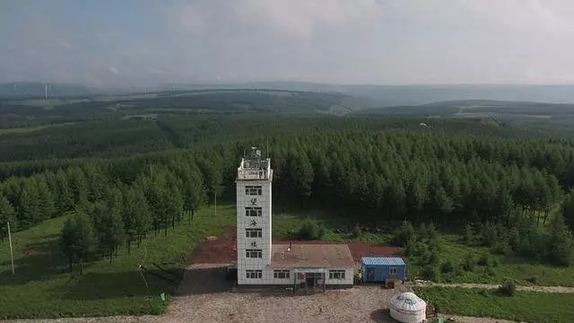 英國小哥到河北塞罕壩避暑，竟意外收獲了一個美麗的故事丨好運中國