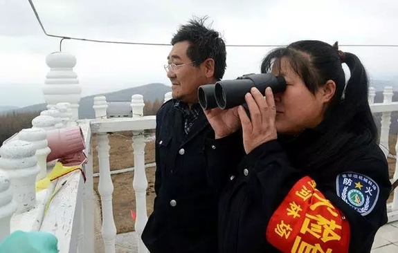 英國小哥到河北塞罕壩避暑，竟意外收獲了一個美麗的故事丨好運中國