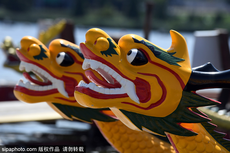 第27屆紐約香港龍舟節開幕 200支隊伍奮力角逐