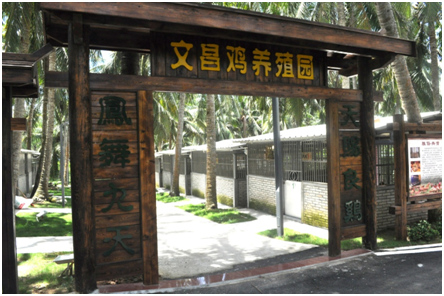 走進文昌，講小鎮故事看滄桑巨變