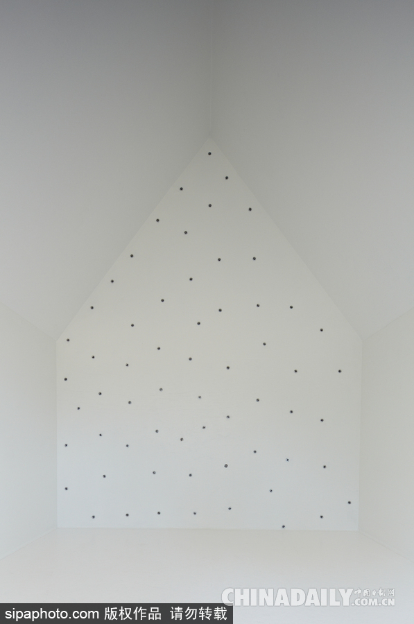 令人驚嘆！日本建筑公司筑起共享樹屋 人類可與鳥兒在屋內同住