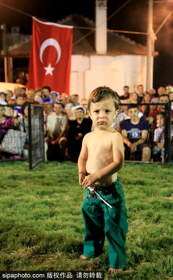 土耳其鄉(xiāng)村傳統(tǒng)婚禮 上演摔跤大賽硬漢紛紛上場(chǎng)