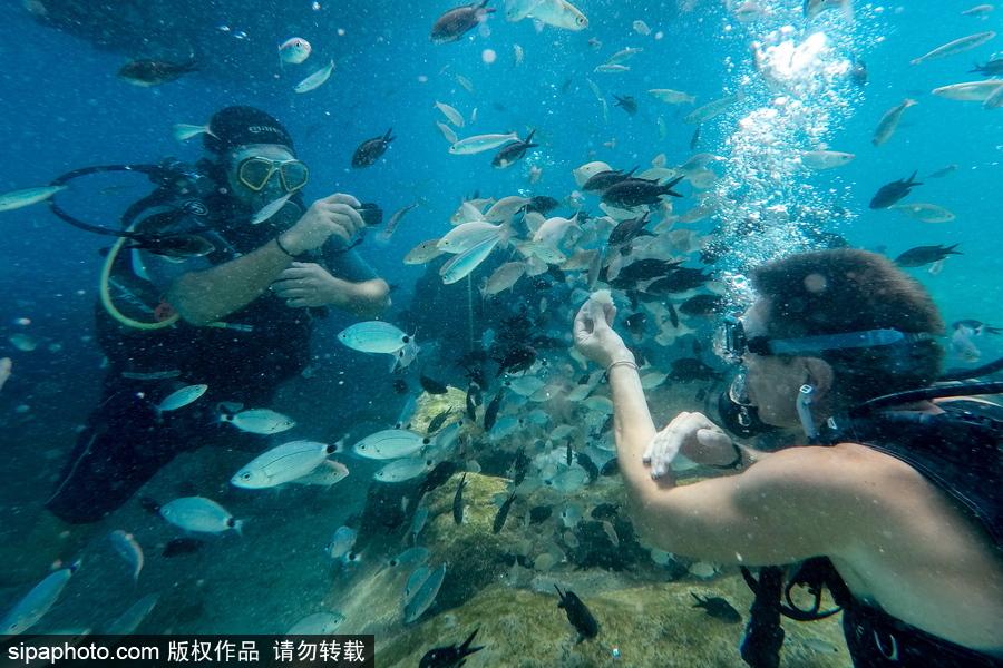 感受地中海水下“神秘世界” 土耳其凱梅爾海邊潛水