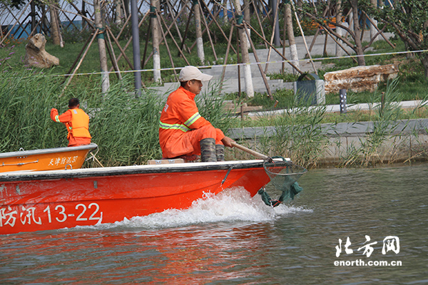 全運(yùn)會(huì)保障故事：爺爺，你的白頭發(fā)都曬黑了
