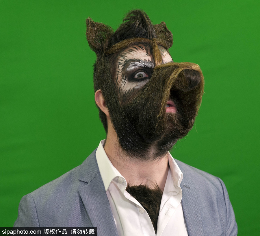 2017年世界留胡子錦標(biāo)賽：哪款Freestyle你最愛？