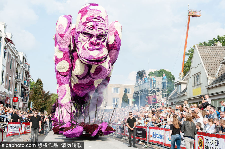 鮮花還能這樣玩 荷蘭鮮花大游行現巨型花卉“怪獸”