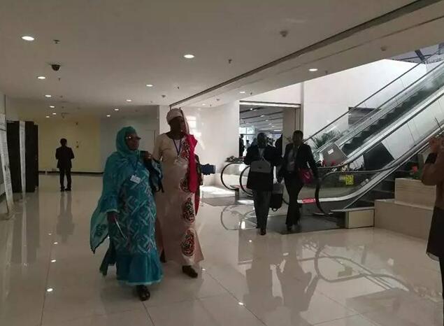 都給您整理好了！關于《聯合國防治荒漠化公約》第13次締約方大會開幕式，這個最全！