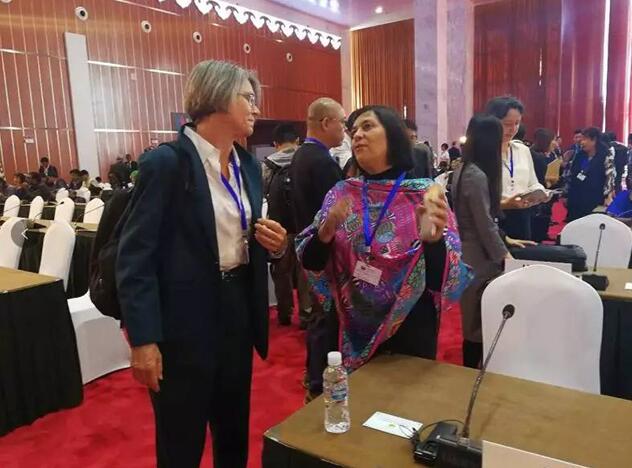 都給您整理好了！關于《聯合國防治荒漠化公約》第13次締約方大會開幕式，這個最全！