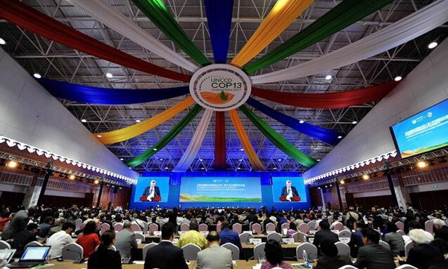 都給您整理好了！關于《聯合國防治荒漠化公約》第13次締約方大會開幕式，這個最全！