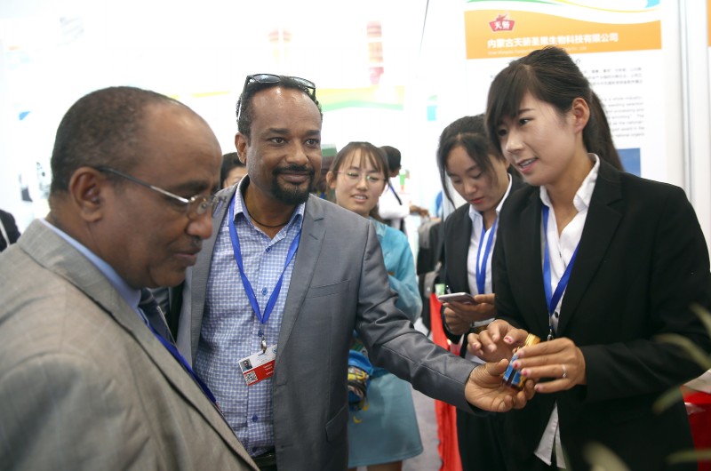 《聯(lián)合國防治荒漠化公約》第十三次締約方大會(huì)高級(jí)別會(huì)議開幕