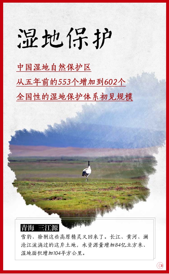 有顏有內涵 大美中國還看今朝