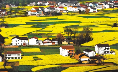 “砥礪奮進(jìn)的五年”大型成就展展板圖片選登（第一展區(qū)）