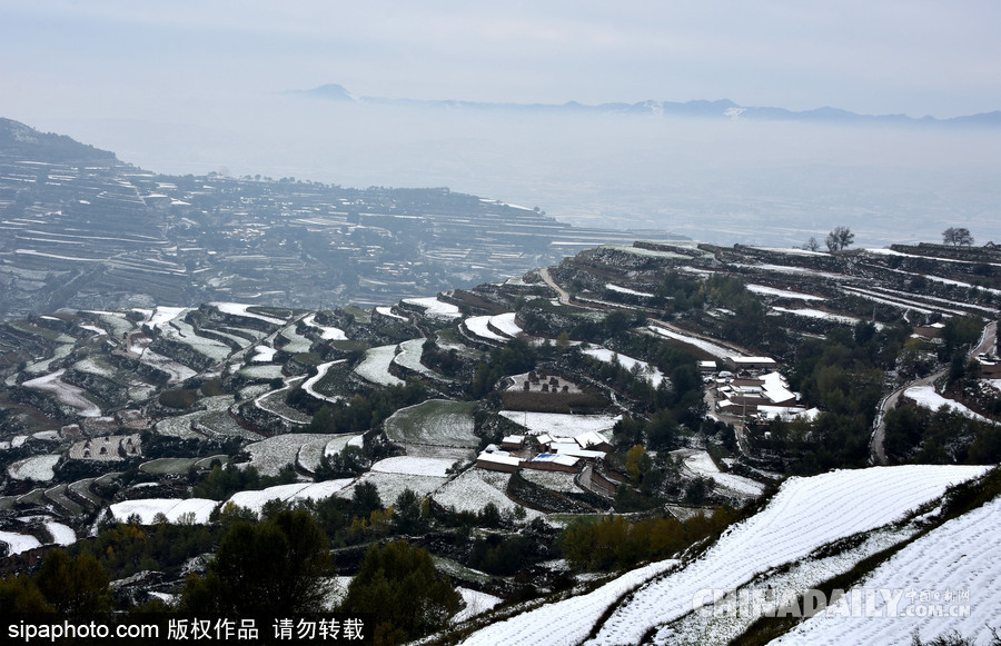 甘肅迎來(lái)雨雪天氣 雪落梯田景致宛如水墨畫