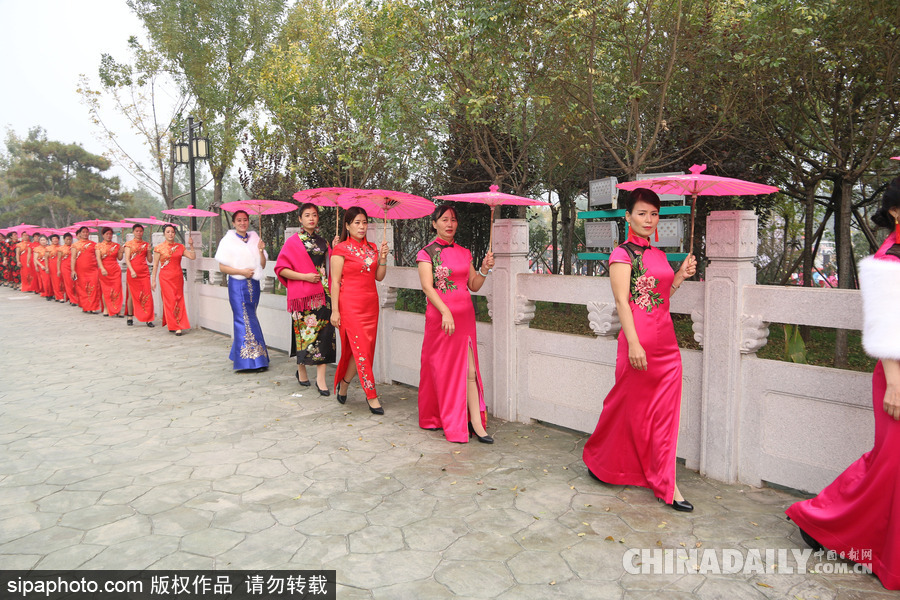 山東濱州：驚艷重陽(yáng)節(jié) 千名中老年旗袍愛好者走秀