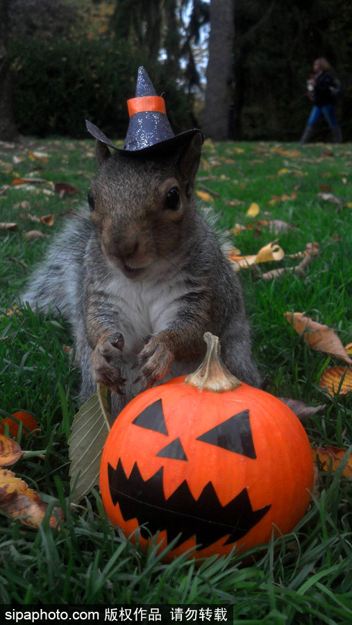 松鼠愛打扮！ 美國社交障礙女生擺拍松鼠一夜爆紅