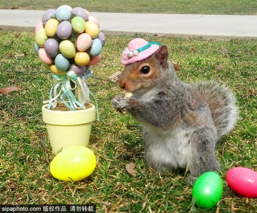 松鼠愛打扮！ 美國社交障礙女生擺拍松鼠一夜爆紅