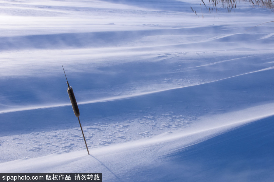 純凈的北方國度 加拿大冬日風(fēng)光