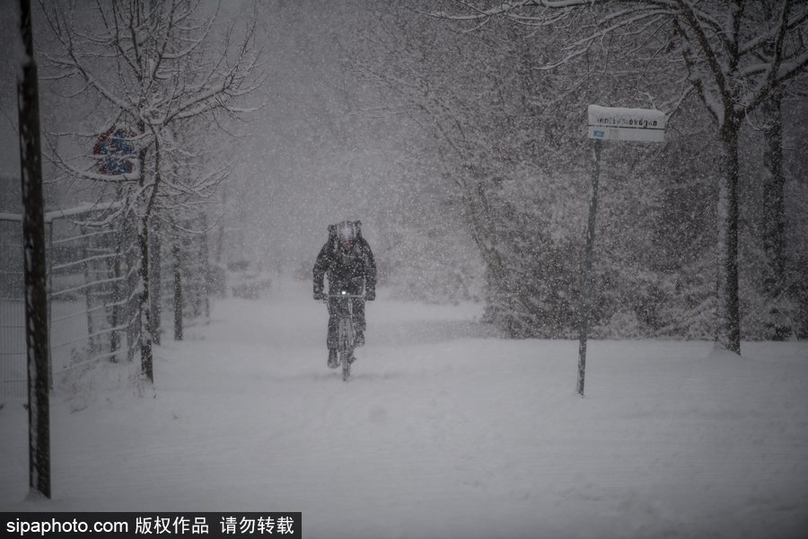 瑞典迎來今年第一場降雪 嚴重影響當地交通