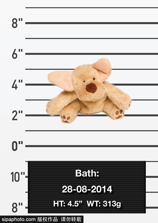 迷路的小伙伴 現實版帕丁頓熊尋“主人”啟事