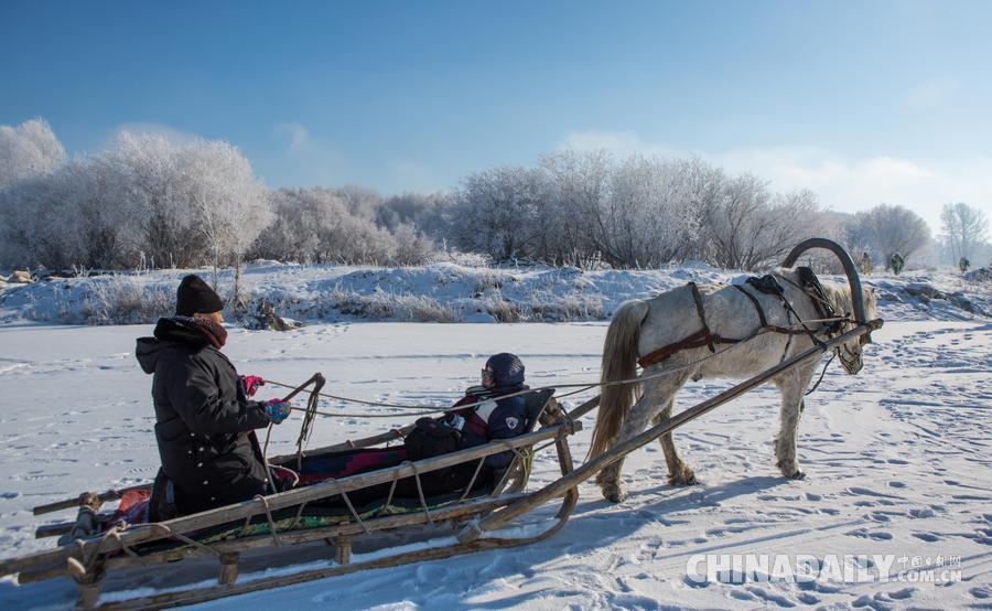 新疆沖乎爾：“雪樹銀花”童話鎮