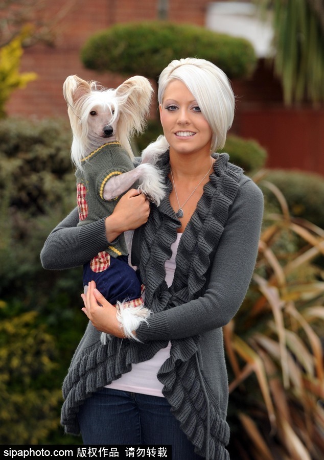 人不如狗系列！ 走進全世界最奢華的狗狗生活