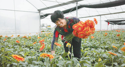 “有她在，我們放心！”——記福建省永安市小陶鎮(zhèn)五一村黨支部書記許光園