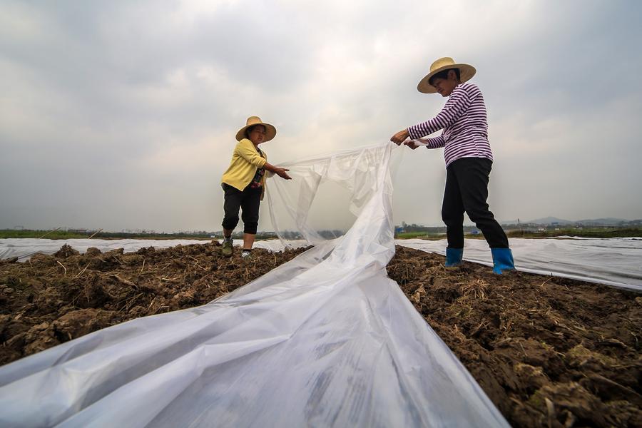 清明時節(jié)務農(nóng)忙