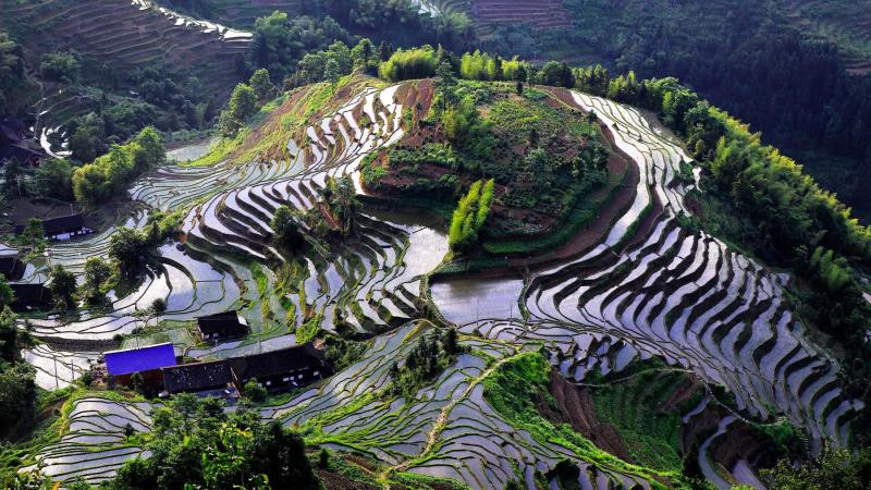 紫鵲界梯田獲“全球重要農業文化遺產”授牌