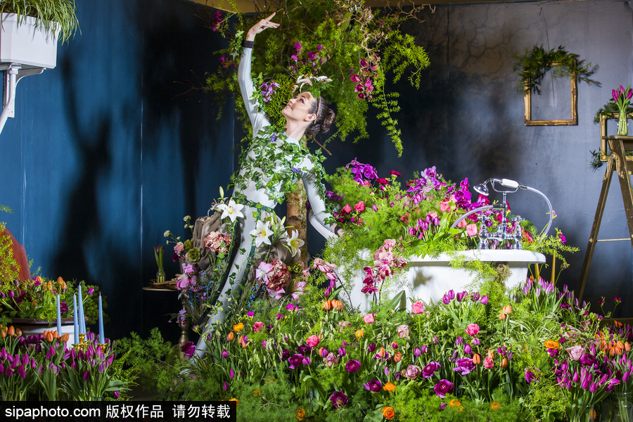 英國哈羅蓋特鮮花展 “花花世界”浪漫繽紛