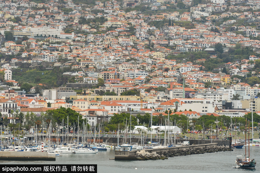 走進C羅的故鄉 小眾的“海上花園”馬德拉島