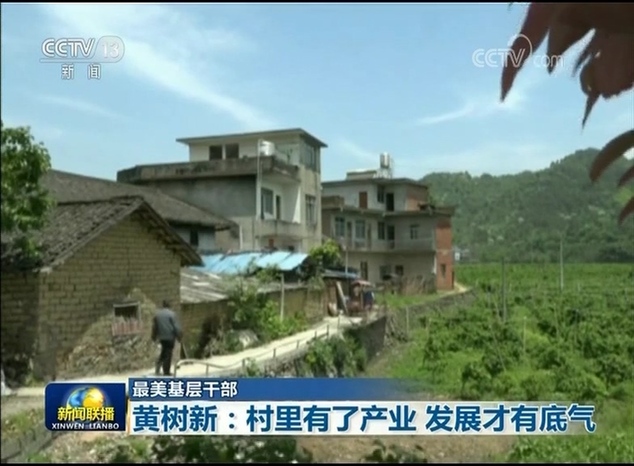 【最美基層干部】黃樹新：村里有了產業 發展才有底