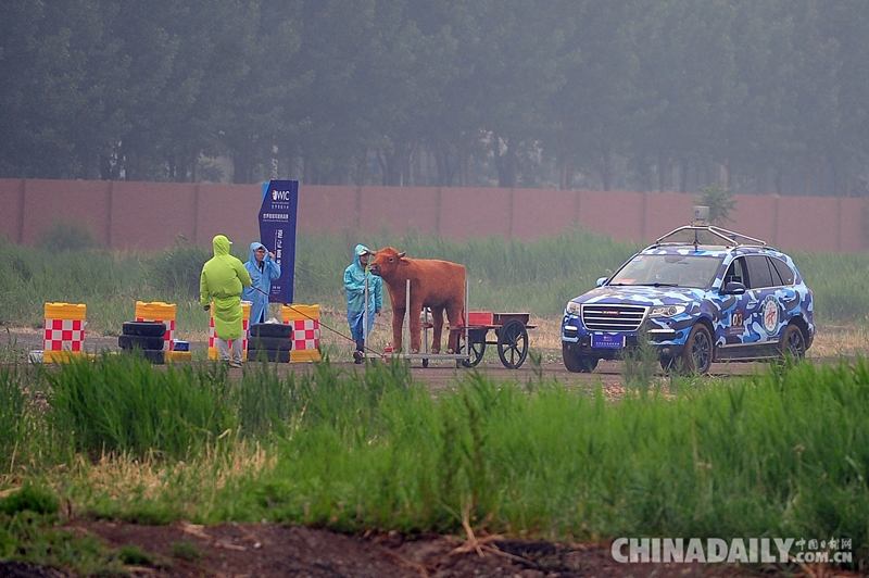 第二屆世界智能駕駛挑戰賽在津開賽