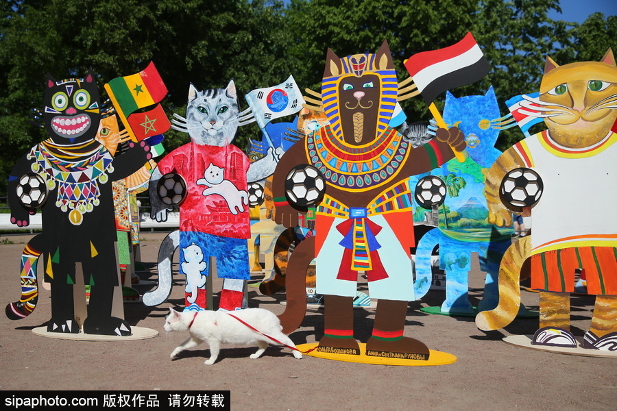 俄羅斯“預(yù)言貓”攜各國(guó)“貓咪”們現(xiàn)身 迎接2018世界杯到來(lái)