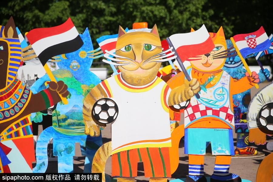 俄羅斯“預(yù)言貓”攜各國(guó)“貓咪”們現(xiàn)身 迎接2018世界杯到來