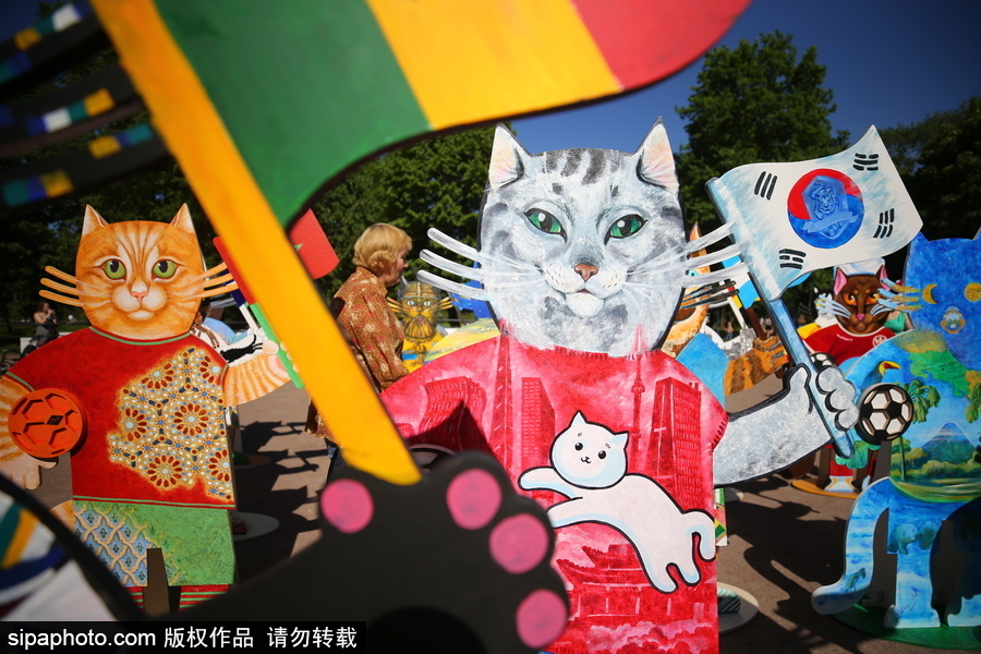 俄羅斯“預(yù)言貓”攜各國“貓咪”們現(xiàn)身 迎接2018世界杯到來
