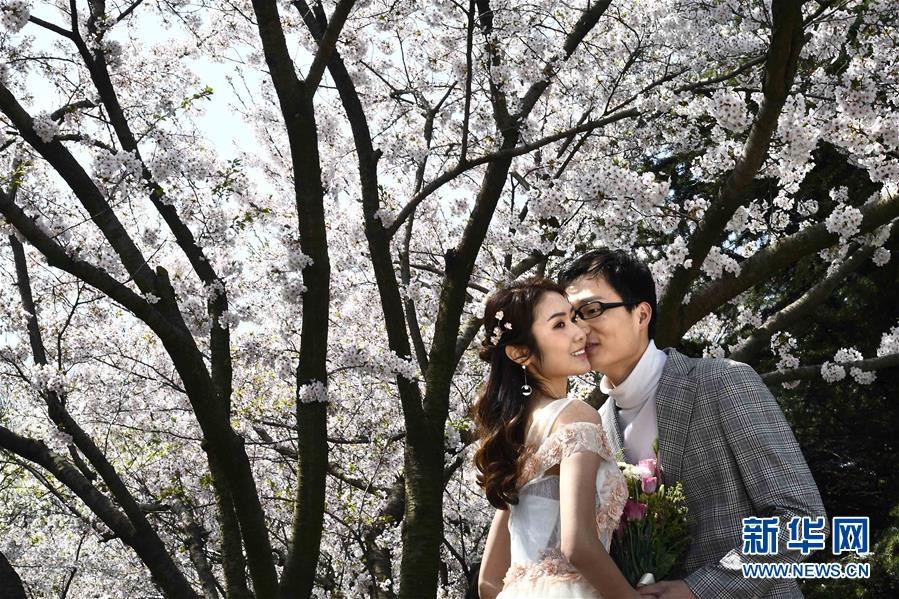 青島，浪漫之城