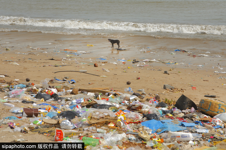印度海灘成垃圾場 環保志愿者數年如一日堅持清理