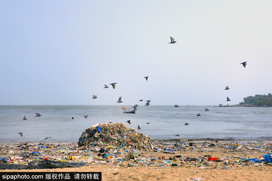 印度海灘成垃圾場 環保志愿者數年如一日堅持清理