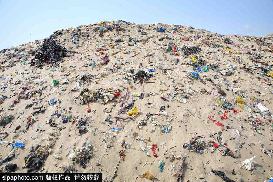 印度海灘成垃圾場 環保志愿者數年如一日堅持清理