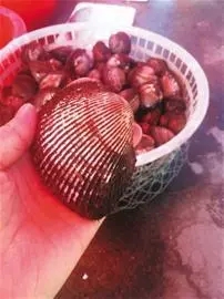 來青島開會(huì)，就順便逛吃逛吃山東吧！