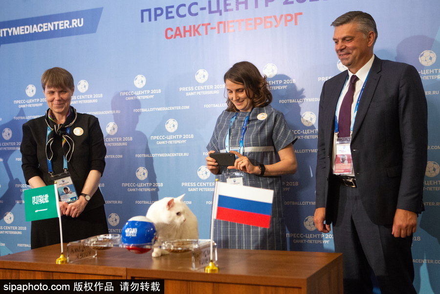 明星待遇！俄羅斯神貓預(yù)測(cè)2018世界杯揭幕戰(zhàn)勝者