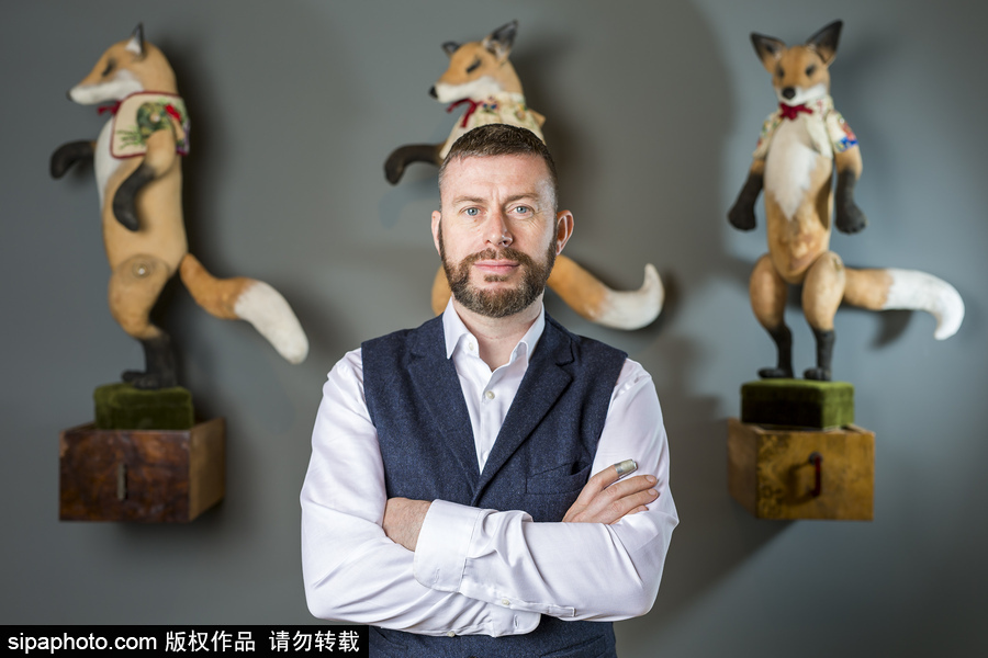 英國(guó)藝術(shù)家制作布藝動(dòng)物 妙手匠心栩栩如生