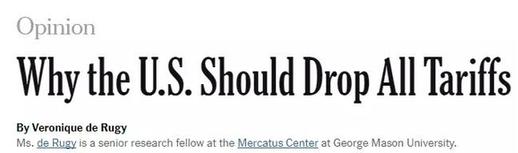 專家懟人果然有文化，批特朗普：“關稅猛藥”治不好“逆差病”，反要了性命丨外媒說