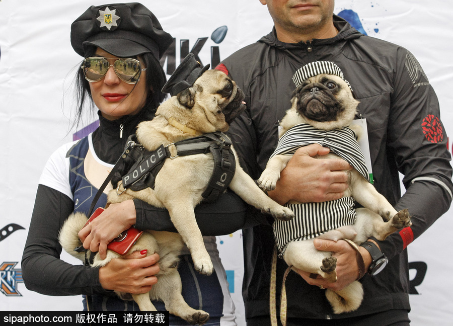 烏克蘭基輔舉行狗狗慈善跑 現場賣萌大比拼