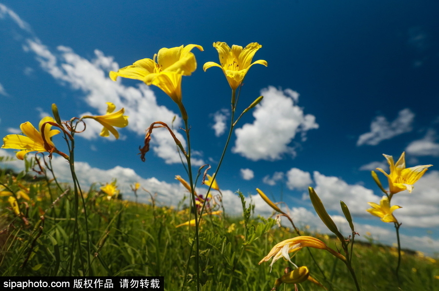 遠離塵囂的動物棲息地 探訪俄羅斯別廖佐夫斯基自然保護區