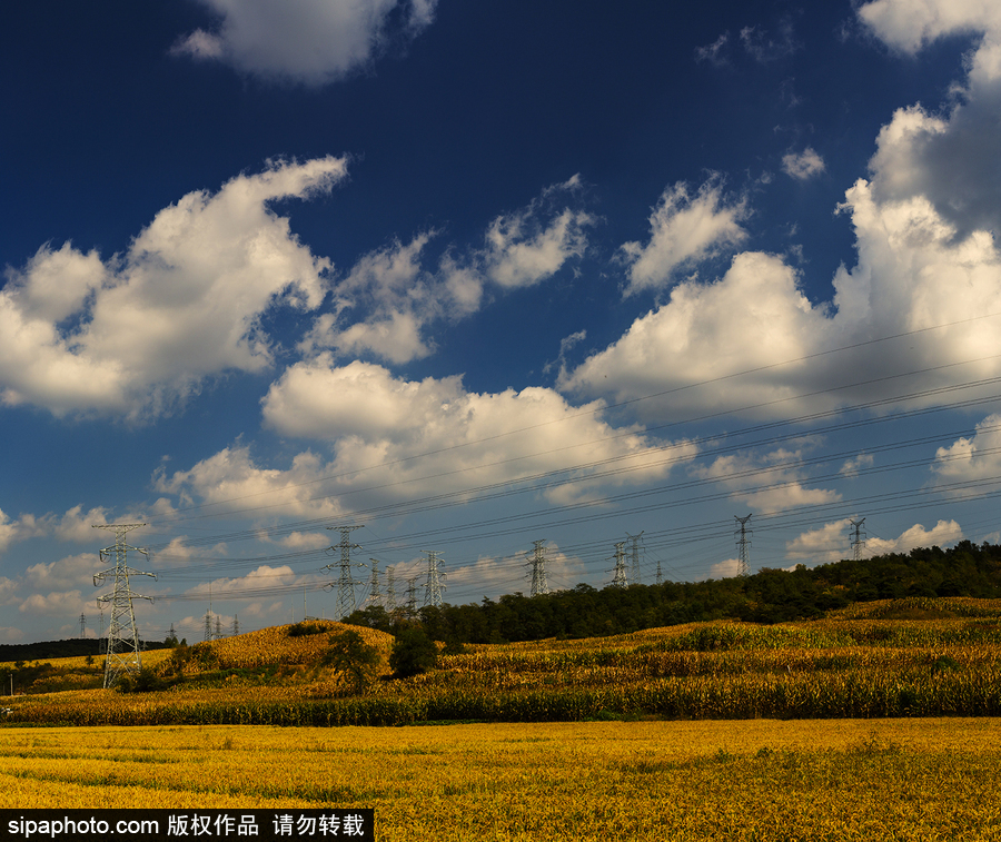 藍(lán)天白云刷屏！盤點(diǎn)風(fēng)清日朗的絕美風(fēng)光 為眼睛降溫