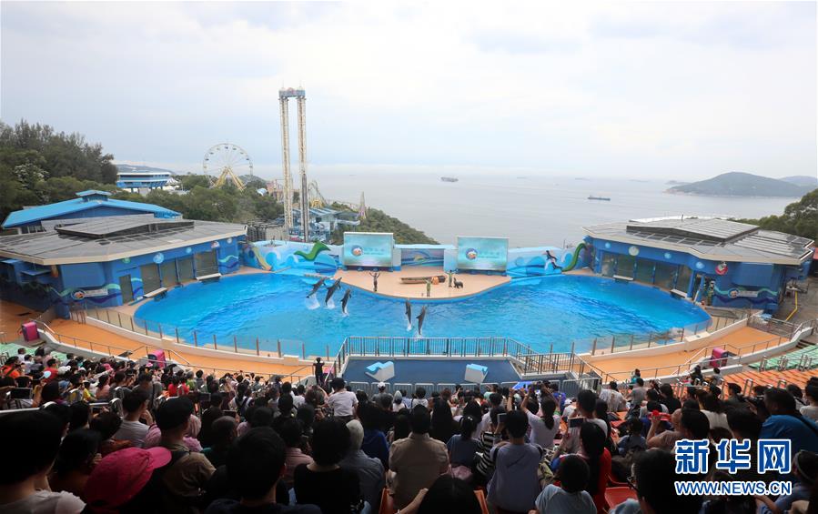 滌濁揚清、奮發有為——香港經濟社會發展一年間煥發新氣象