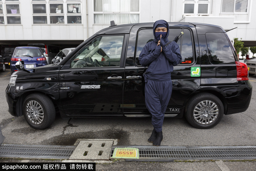 別慌他只是個司機(jī)！日本推出忍者司機(jī)服務(wù)還可展示技能
